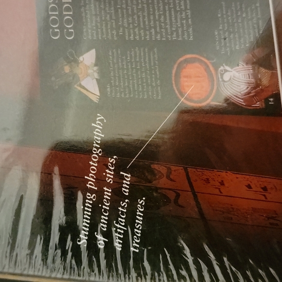 New Sealed 3D Pop up Tutankhamen's Tomb Book 📖 ✨️Interactive - Picture 7 of 15